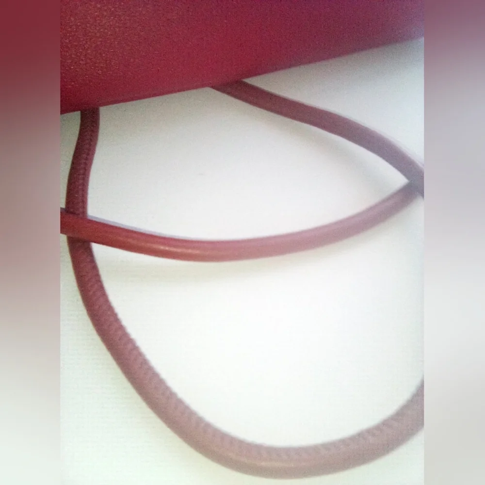 Red Leather Tassel Detail Crossbody Bag